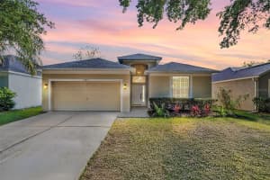 19259 WOOD SAGE DRIVE, TAMPA, FL 33647 Sold 05/15/25