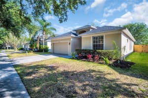 19259 WOOD SAGE DRIVE, TAMPA, FL 33647 Sold 05/15/25