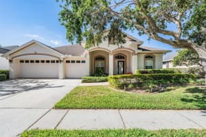 10510 Castleford Way, TAMPA