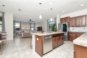 16717 MYRTLE SAND DRIVE, WIMAUMA, FL 33598 Sold 07/10/25