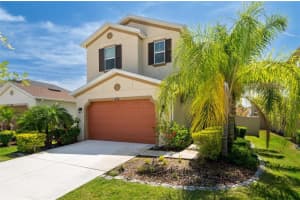 29002 Trevi Pl, WESLEY CHAPEL