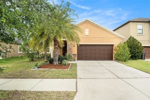 11818 Valhalla Woods Dr, RIVERVIEW