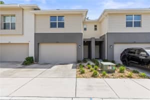6406 Sanctuary Creek Ln, TAMPA