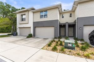 6406 SANCTUARY CREEK LANE, TAMPA, FL 33625 - MLS#MFRTB8371732