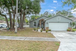 10316 COPPERWOOD DRIVE, NEW PORT RICHEY, FL 34654 Sold 05/19/25