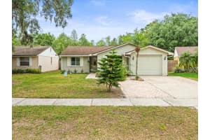 16116 Manorwood Cir, TAMPA