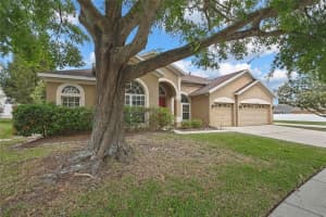 10322 RIVERBURN DRIVE, TAMPA, FL 33647 Sold 06/23/25