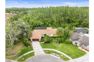 12217 SNEAD PLACE, TAMPA, FL 33624 Sold 06/25/25