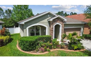 11862 FROST ASTER DRIVE, RIVERVIEW, FL 33579 Sold 07/14/25
