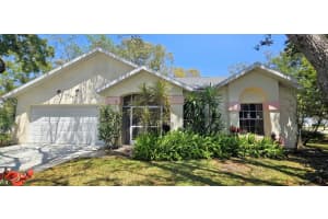 10728 FALLEN LEAF LN, PORT RICHEY, FL 34668 Sold 05/29/25
