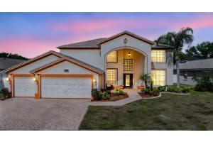 10003 Vista Pointe Dr, TAMPA