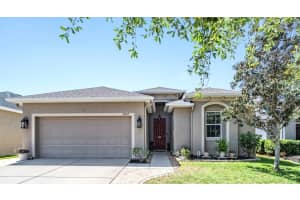 12107 Rambling Stream Dr, RIVERVIEW
