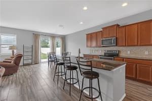 662 PETAL MIST LANE, BROOKSVILLE, FL 34604 Sold 08/15/25