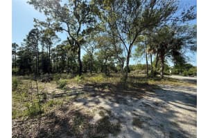 INDIAN TRAIL RD, BROOKSVILLE, FL 34613 - MLS#MFRTB8372153