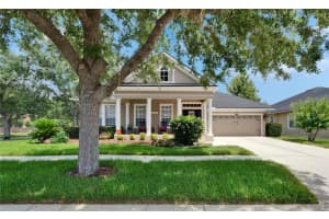20537 LACE CASCADE ROAD, LAND O LAKES, FL 34637 Sold 07/09/25