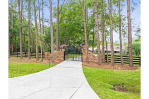 876 RANCH ROAD, TARPON SPRINGS, FL 34688 Sold 06/17/25