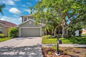 11519 Cypress Reserve Dr, TAMPA