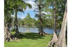 2513 OAKLEAF LANE, CLEARWATER, FL 33763 Sold 06/16/25