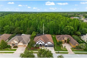 15045 WIND WHISPER DRIVE, ODESSA, FL 33556 Sold 07/28/25