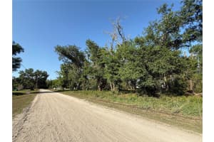 null OWENS DRIVE, ZEPHYRHILLS, FL 33540 - MLS#MFRTB8372320