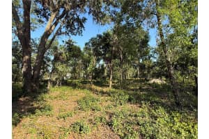 null OWENS DRIVE, ZEPHYRHILLS, FL 33540 - MLS#MFRTB8372320