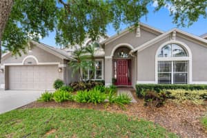 16522 Ivy Lake Dr, ODESSA