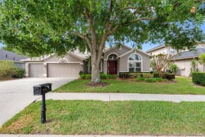 16522 IVY LAKE DRIVE, ODESSA, FL 33556 - MLS#MFRTB8372325