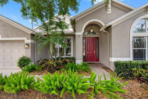 16522 IVY LAKE DRIVE, ODESSA, FL 33556 - MLS#MFRTB8372325