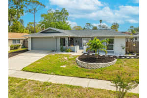 3515 GLOSSY IBIS COURT, PALM HARBOR, FL 34683 Sold 05/27/25