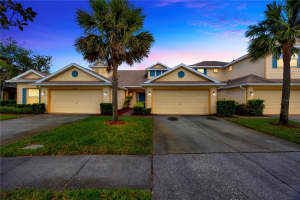 20305 Oak Key Ct, TAMPA