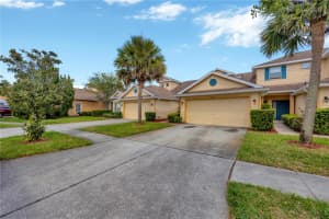 20305 OAK KEY COURT, TAMPA, FL 33647 - MLS#MFRTB8372366