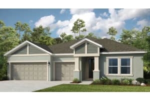 3213 Lumber Falls Dr, PLANT CITY