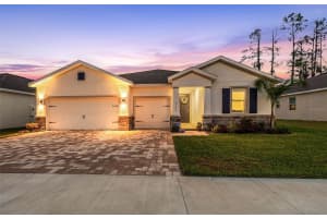 23243 SCAGLIONE DRIVE, LUTZ, FL 33549 Sold 05/30/25