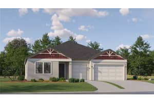 22075 Storybook Cabin Way Land O Lakes, FL 34637 - Off Market