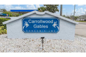 12233 ARMENIA GABLES CIRCLE, TAMPA, FL 33612 Sold 07/08/25