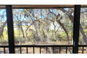 11411 PIKE COURT, NEW PORT RICHEY, FL 34654 - MLS#MFRTB8372635