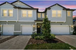 8953 Gallantree Pl, LAND O LAKES
