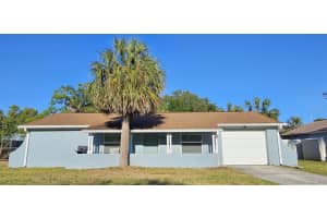 1007 GREENLEAF WAY, TARPON SPRINGS, FL 34689 - MLS#MFRTB8372674