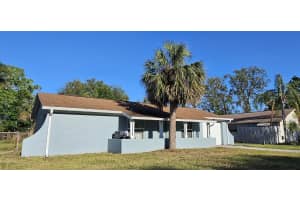 1007 GREENLEAF WAY, TARPON SPRINGS, FL 34689 - MLS#MFRTB8372674