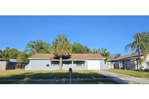1007 GREENLEAF WAY, TARPON SPRINGS, FL 34689 - MLS#MFRTB8372674