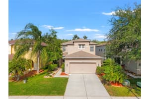 3434 Tarbolton Way, LAND O LAKES