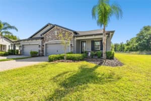 19325 Hawk Valley Dr, TAMPA