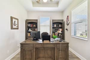 19325 HAWK VALLEY DRIVE, TAMPA, FL 33647 - MLS#MFRTB8372722