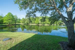 6507 SPRING OAK COURT, TAMPA, FL 33625 Sold 07/05/25