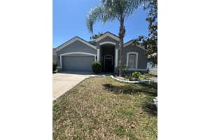 13215 Beechberry Dr, RIVERVIEW