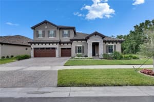 14421 Swiss Bridge Dr, LITHIA