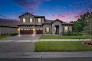 14421 SWISS BRIDGE DRIVE, LITHIA, FL 33547 - MLS#MFRTB8372949