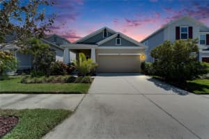 7417 Sungold Meadow Ct, APOLLO BEACH