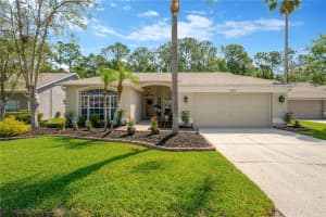 1623 BAYHILL DRIVE, OLDSMAR, FL 34677 Sold 05/23/25