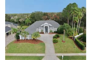 5253 MIRA VISTA DRIVE, PALM HARBOR, FL 34685 Sold 04/30/25